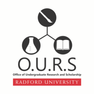 OURS-official-logo