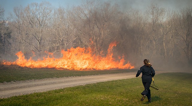 Dr. Karen Powers racing to make sure the fire doesn't leap over the roadway