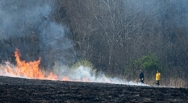 Volunteers monitoring the remaining fire at the north edge of the field