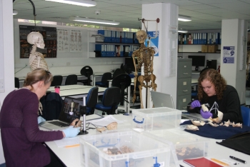 Dr. Donna Boyd (left) and student Kimber Cheek at the Centre for Anatomy and Human Identification at the University of Dundee, Scotland. There, they analyzed infant cranial remains from the Scheuer Collection, the largest collection of skeletonized juvenile remains in the world.  